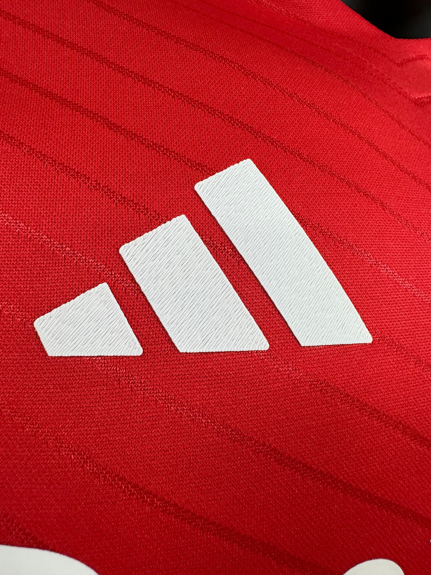 Benfica Home Kit 24/25