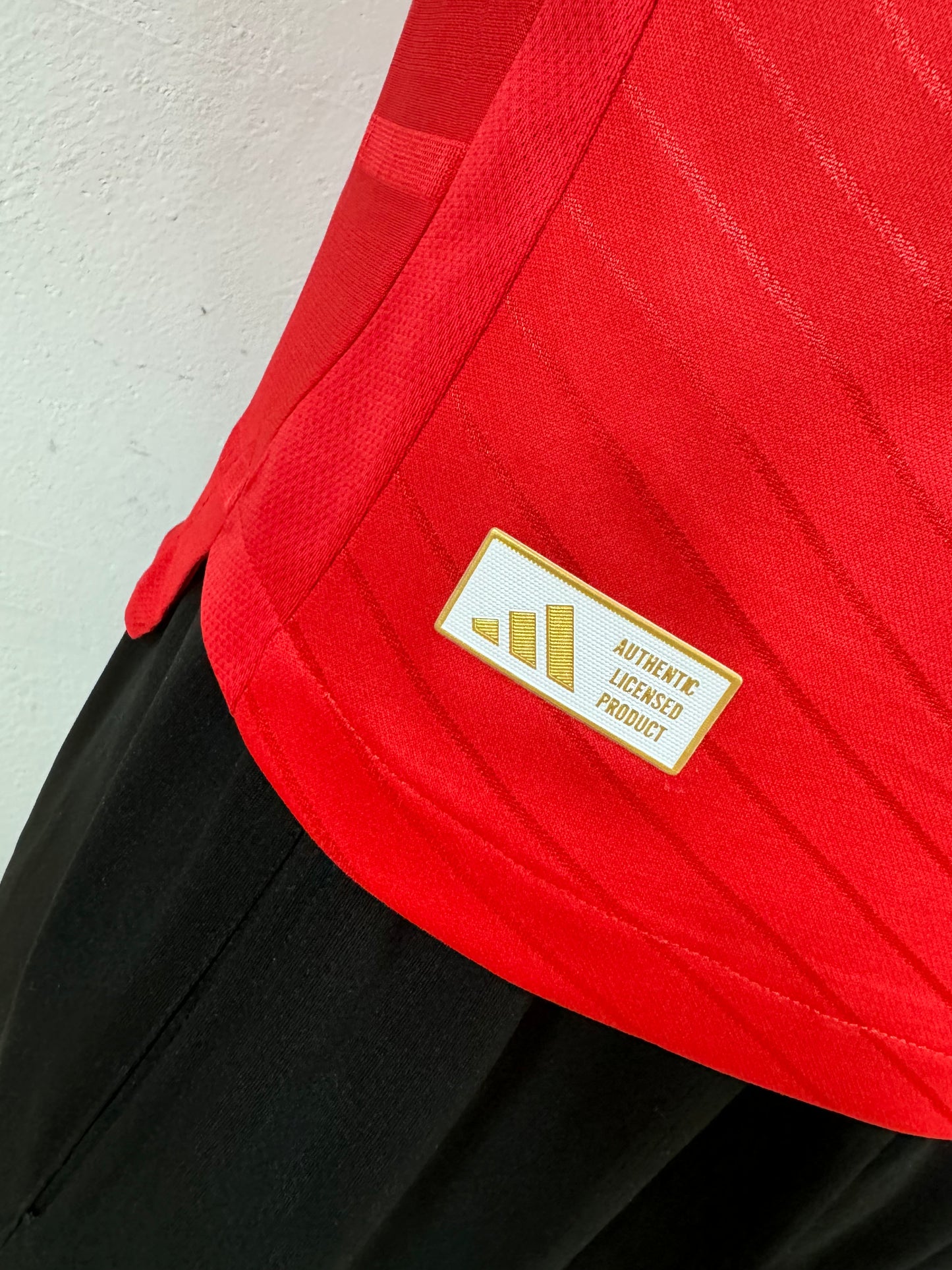 Benfica Home Kit 24/25