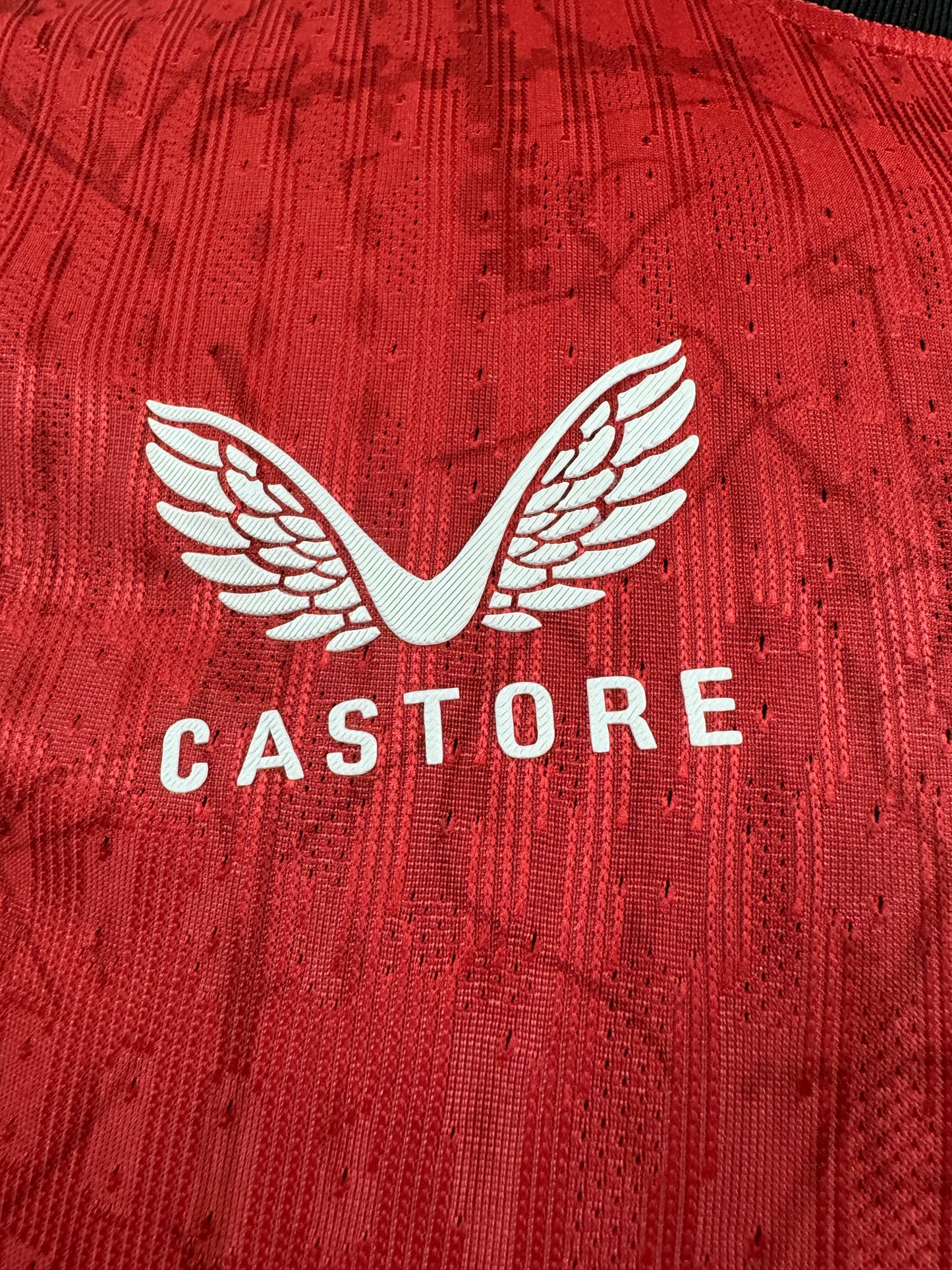Bayer Leverkusen Home Kit 24/25
