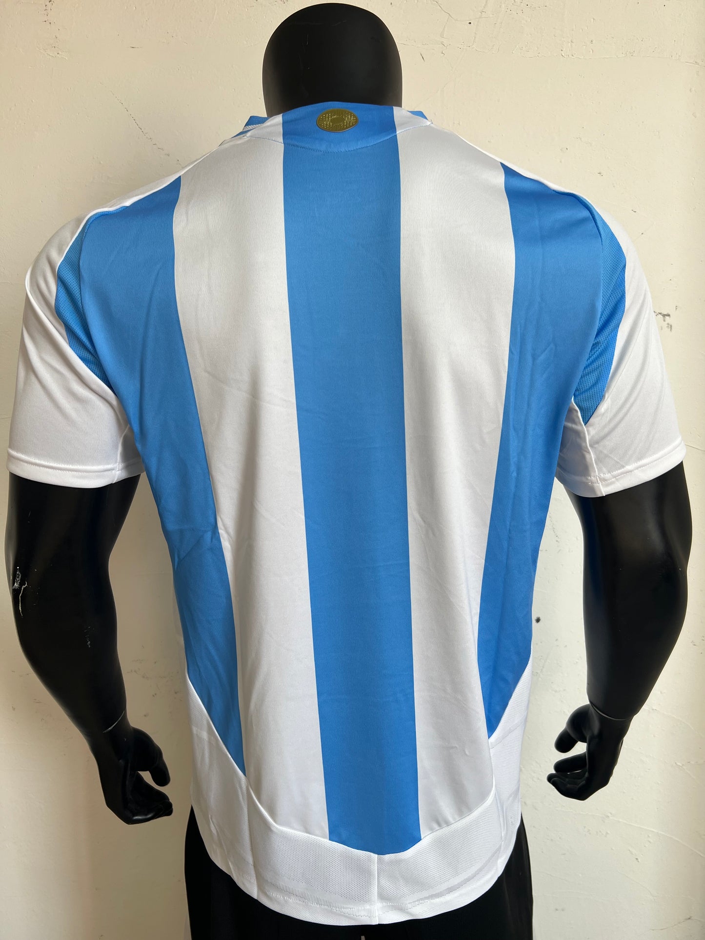 Argentina Home Kit 24/25