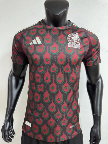 Mexico Home Kit 24/25