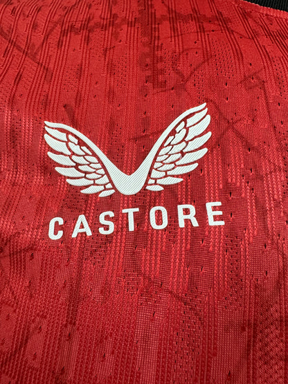Bayer Leverkusen Home Kit 24/25