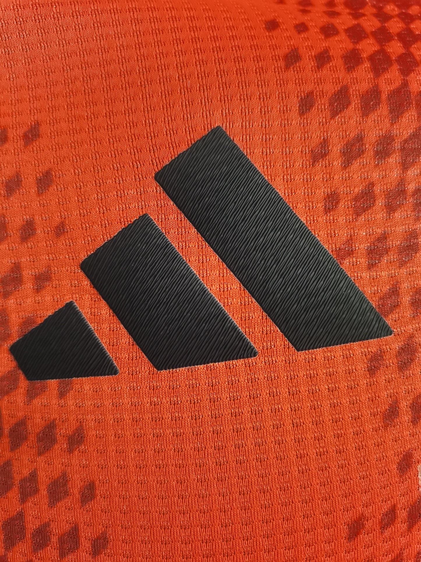 FC Bayern Home Kit 24/25